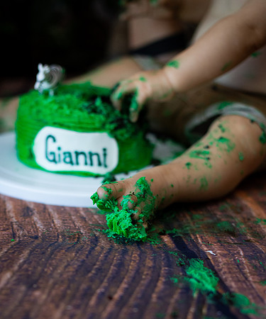 Wild one cake smash-3