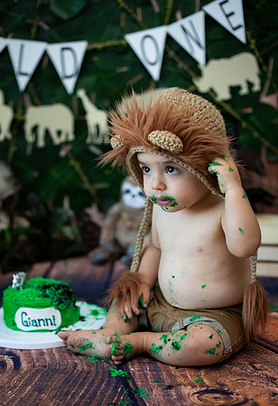 Wild one cake smash-4