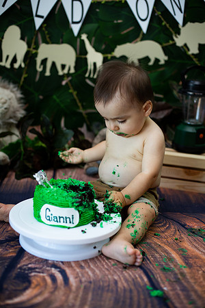 Wild one cake smash-5