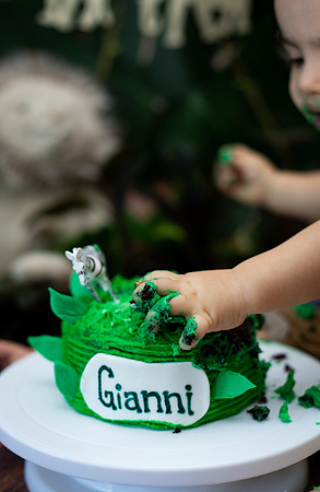 Wild one cake smash-7