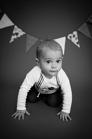 Griffin Cake Smash BW-4